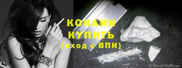 МДПВ Липки