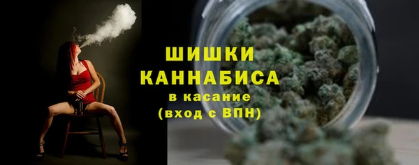 МДПВ Лихославль