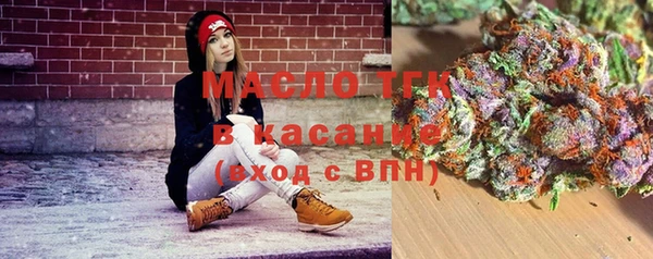 mix Богородицк