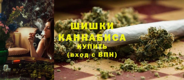 МДПВ Липки