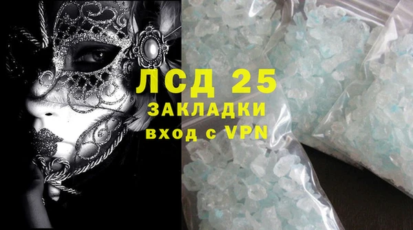 гидра Богородск
