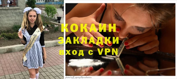 МДПВ Липки
