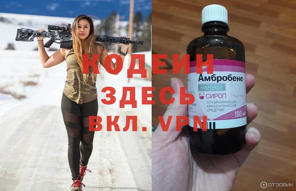 МДПВ Липки
