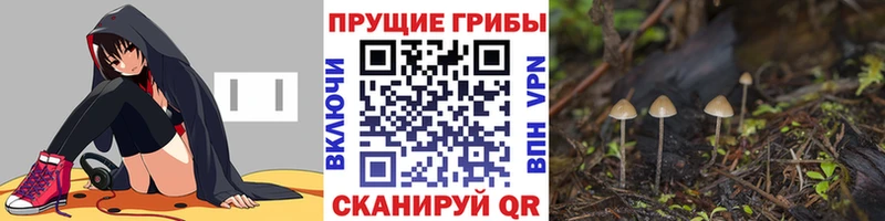 Псилоцибиновые грибы мухоморы  Мурманск 