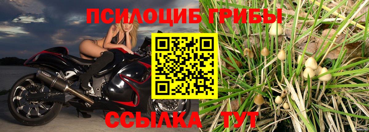 Псилоцибиновые грибы Magic Shrooms  Псилоцибиновые грибы Psilocybine cubensis  Вход с VPN  Мурманск 