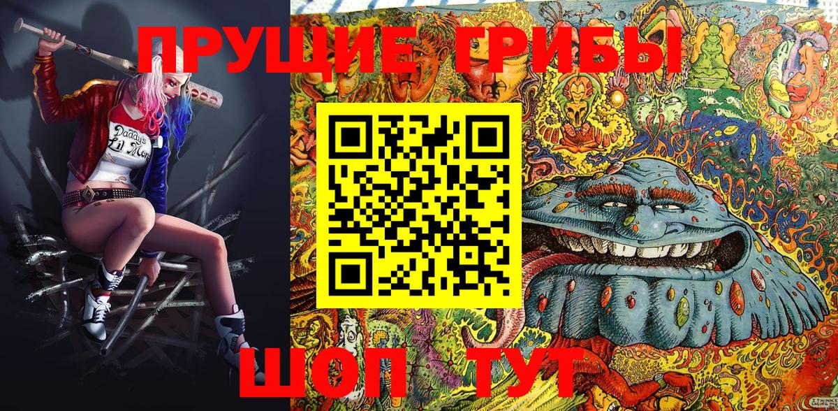 Галлюциногенные грибы GOLDEN TEACHER Мурманск