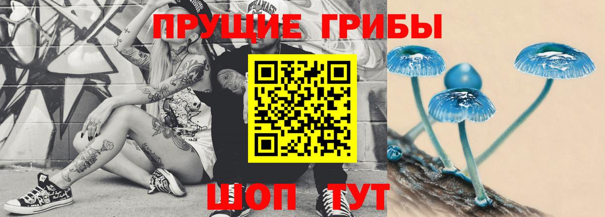 Галлюциногенные грибы мицелий Мурманск