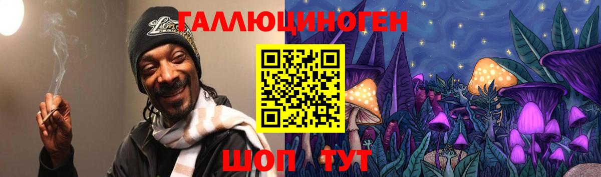 Псилоцибиновые грибы Psilocybine cubensis  Мурманск 